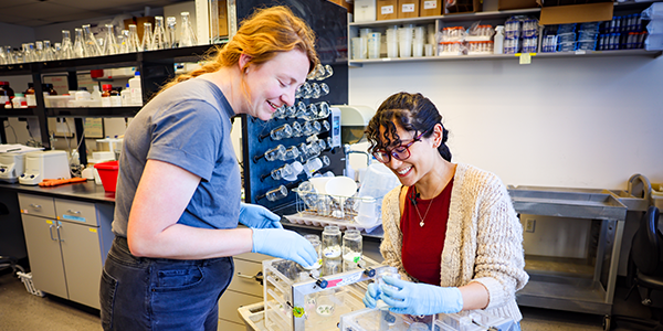 Graduate students experimentally grow drought-resistant plants in a lab on campus